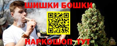 амф Новодвинск