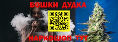амф Новодвинск