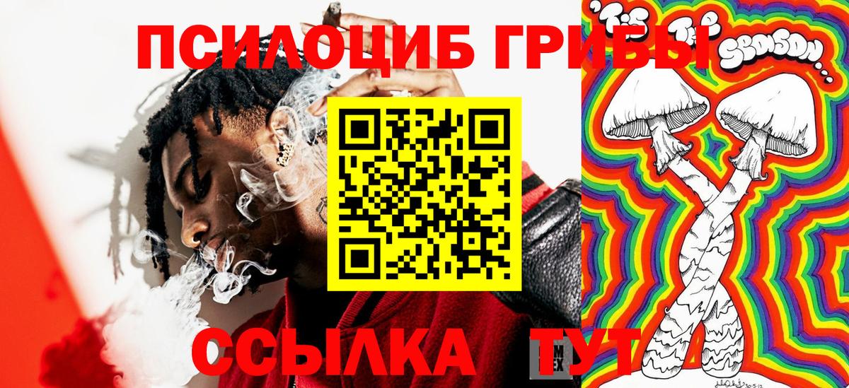 Галлюциногенные грибы MAGIC MUSHROOMS Строитель